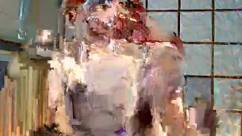 Snapshot of trixie_foxslut chatting on 02.12.26 trixie_foxslut online show from 02.12.26