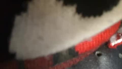 trobelle online show from 12.26.24