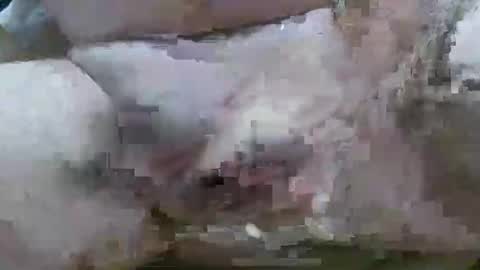 troy1965 online show from 02.11.26