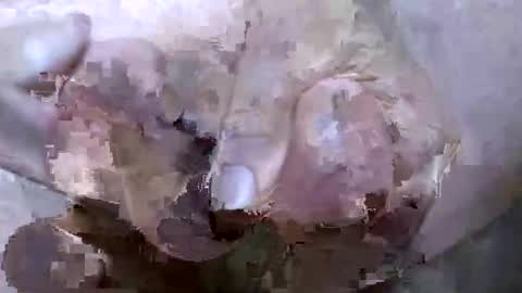 troy1965 online show from 04.21.26