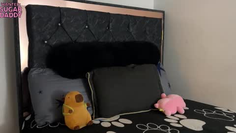 Snapshot of troye_lex chatting on 10.14.25 troye_lex online show from 10.14.25