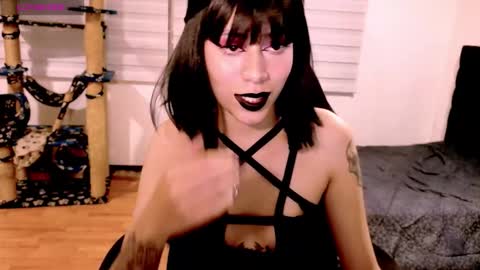 Cait online show from 12.20.25