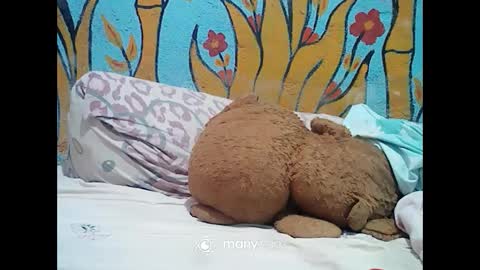 Snapshot of ts_cuumlover chatting on 12.02.24 ts_cuumlover online show from 12.02.24