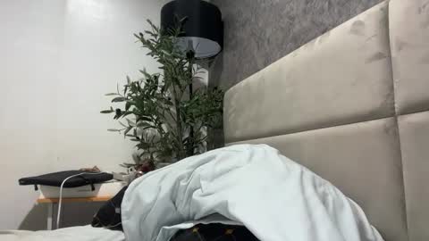 ts_danielahugecock_xxx online show from 02.02.26