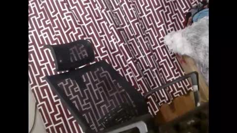 SARCY online show from 03.11.26