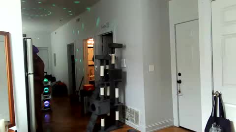 Snapshot of tsamberwhite007 chatting on 02.02.25 Amber White online show from 02.02.25