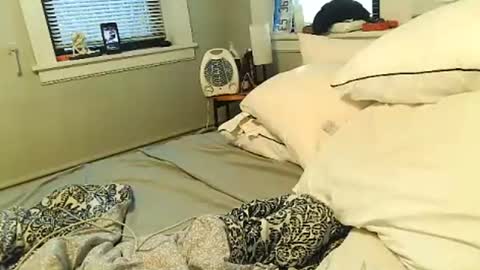 Snapshot of tsamberwhite007 chatting on 02.01.26 Amber White online show from 02.01.26