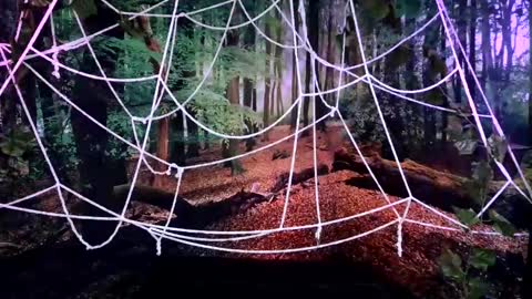 Snapshot of tsblondienyc chatting on 10.28.25 Jessie online show from 10.28.25