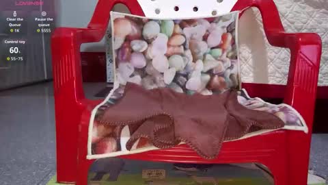 tulip_sexxy online show from 09.26.25