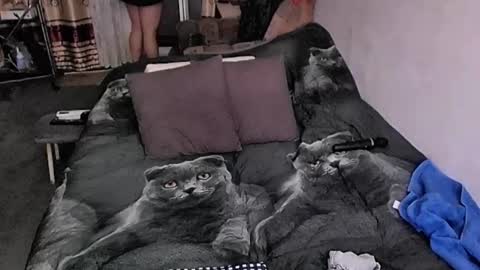 Snapshot of tviks chatting on 10.09.25 Lana online show from 10.09.25