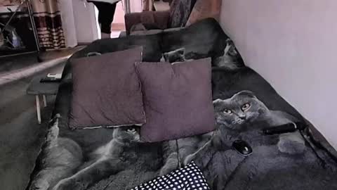 Snapshot of tviks chatting on 11.17.25 Lana online show from 11.17.25