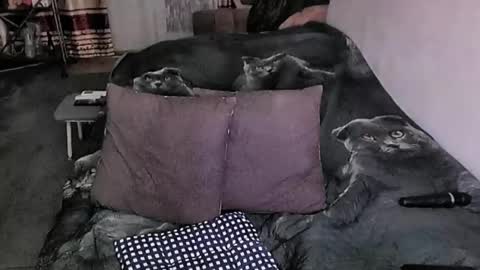 Snapshot of tviks chatting on 03.16.26 Lana online show from 03.16.26