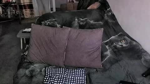 Snapshot of tviks chatting on 03.20.26 Lana online show from 03.20.26