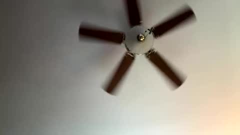 twerkandjerkk online show from 04.16.26