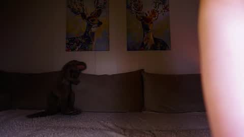 Maria 3 online show from 01.09.25