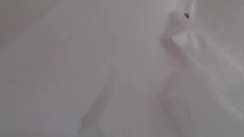 TwinFlameDesire online show from 06.05.26