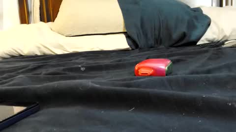 Snapshot of twinkkluvva chatting on 02.17.26 twinkkluvva online show from 02.17.26