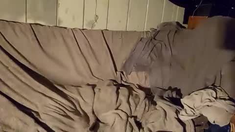 TwistedBlizzy online show from 01.22.25