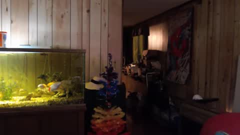 twocumkerry online show from 02.13.25