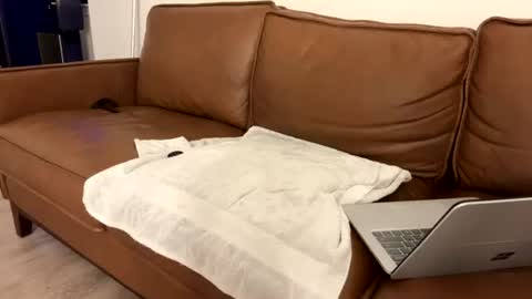 txguybi online show from 08.04.26