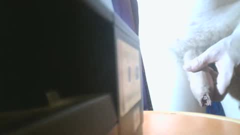 Snapshot of u02g2 chatting on 12.21.24 u02g2 online show from 12.21.24