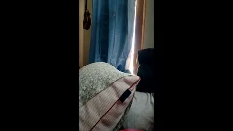 Snapshot of ummm1212 chatting on 03.01.26 ummm1212 online show from 03.01.26