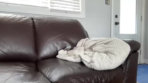 ungerisland online show from 03.09.25