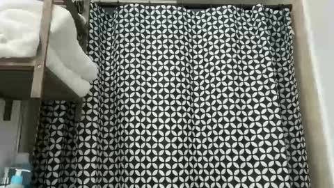 Stepbro online show from 12.02.25