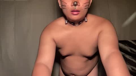 DA online show from 04.08.26