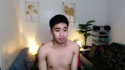 Bib online show from 12.02.25