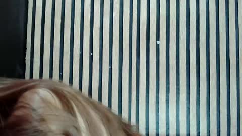 Snapshot of urskinny_girl chatting on 02.25.25 Jane online show from 02.25.25