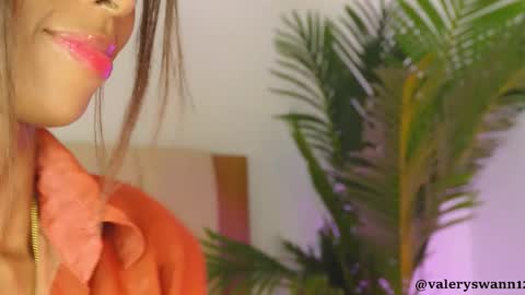 Snapshot of valery_swan1 chatting on 11.24.25 Valery swan1 online show from 11.24.25