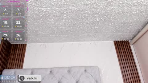 valkilu11 online show from 01.22.25