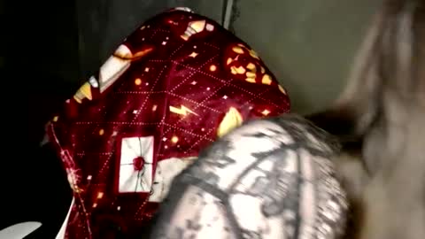 Var Kiss online show from 02.14.26