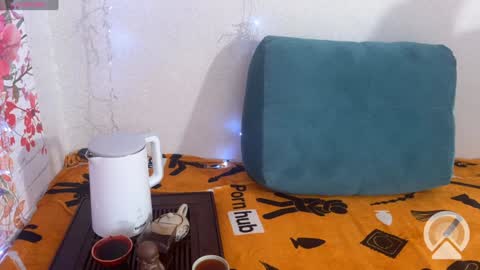 Snapshot of vasya_sylvia chatting on 12.10.24 Vasya Sylvia online show from 12.10.24