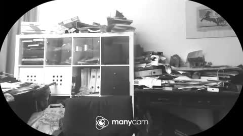 vejun2025 online show from 09.11.25