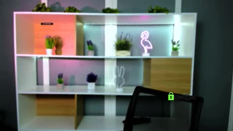 veldi_to online show from 02.02.26