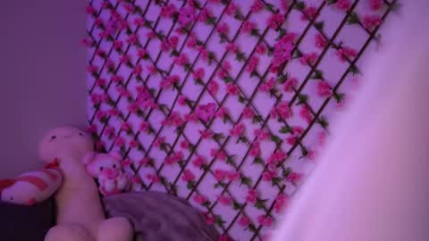 Polly online show from 11.04.25