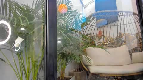 VENUS online show from 11.20.25