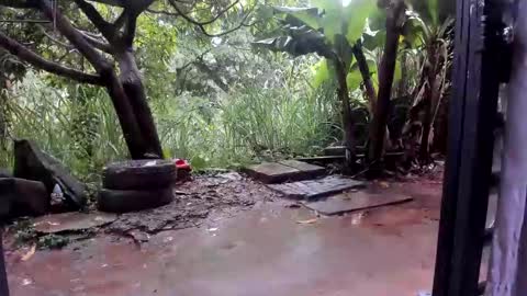 venus ... zeus sheer  online show from 10.27.25