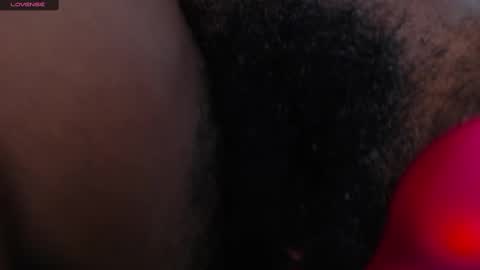 Venus online show from 02.11.25