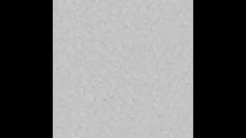 Veronika von Kleist online show from 12.03.25