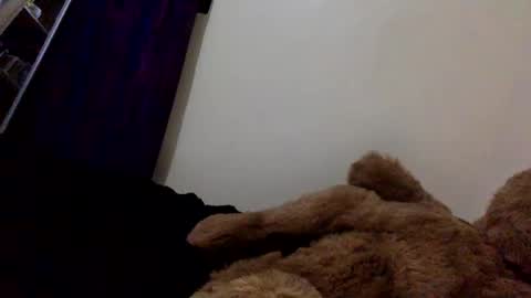 DarkBerryBliss online show from 04.13.26