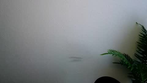 Ana online show from 02.05.26