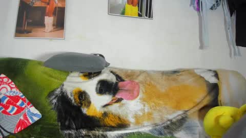 vicky manuela online show from 02.18.25