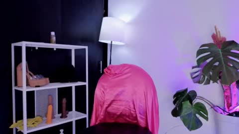 Snapshot of vickygrey1 chatting on 11.27.25 Vicky Greys online show from 11.27.25