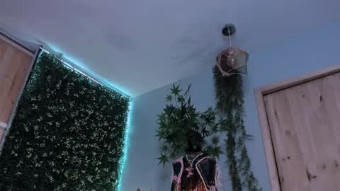 Victoria   online show from 04.07.26