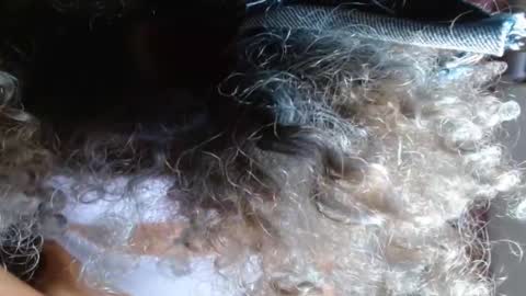 VICKY online show from 02.14.25