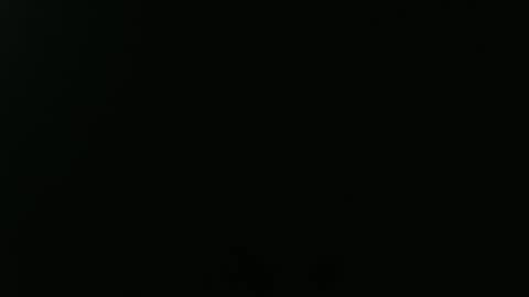 Victoria online show from 02.07.26