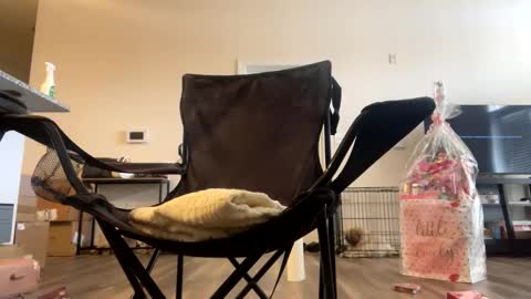 victoryd007 online show from 02.22.25